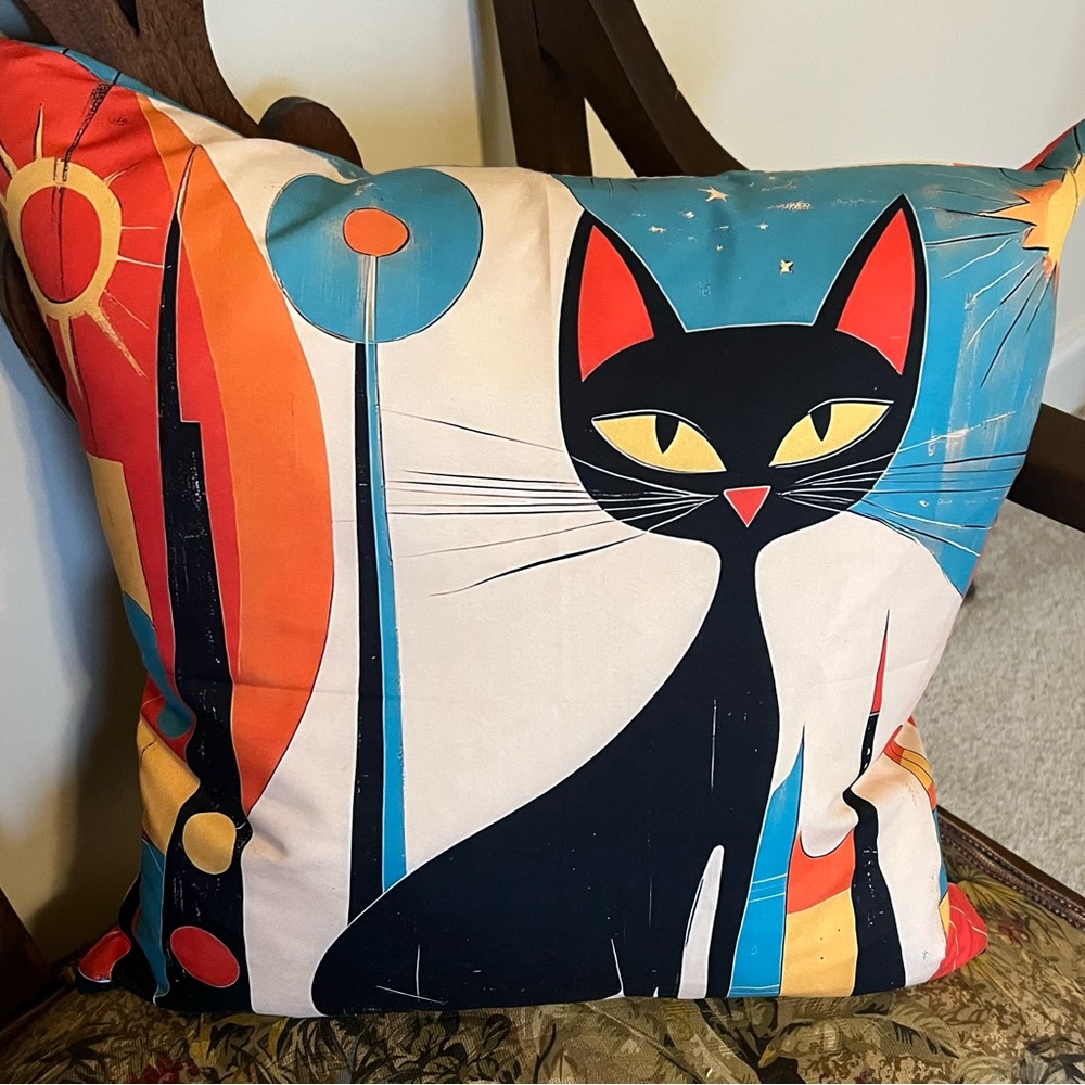 Funky cat pillow cover.